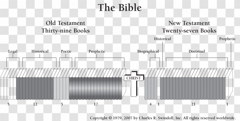 Bible Book Chart Transparent PNG