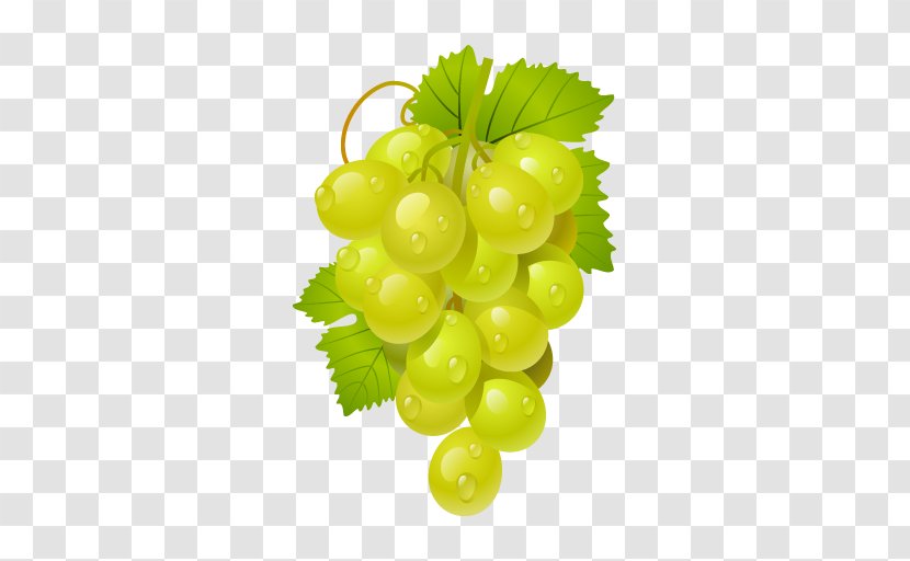 The Grape Cure Common Vine La Cura De Uva Sultana - Leaves - Fruit Transparent PNG