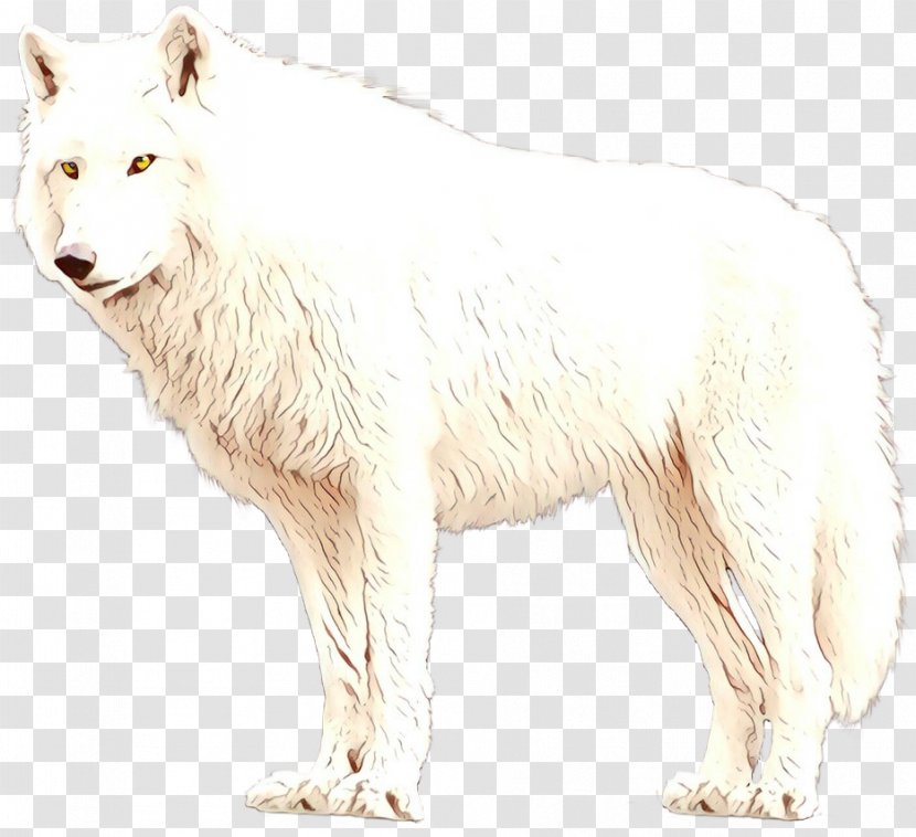 Polar Bear Cartoon - Dog - Wolf Line Art Transparent PNG