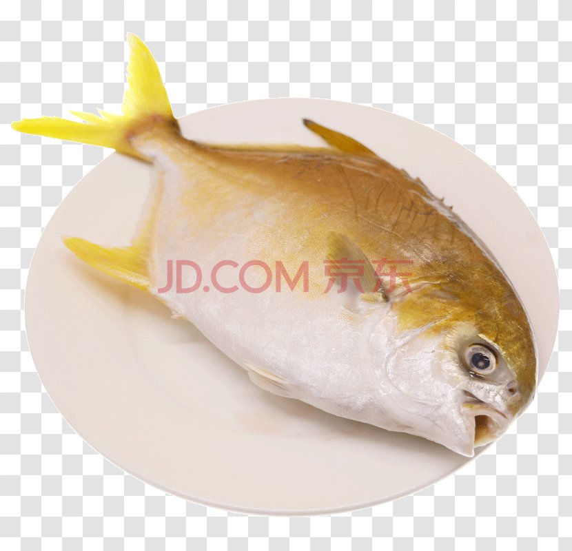 Pampus Argenteus Fish Seafood Clip Art Transparent PNG