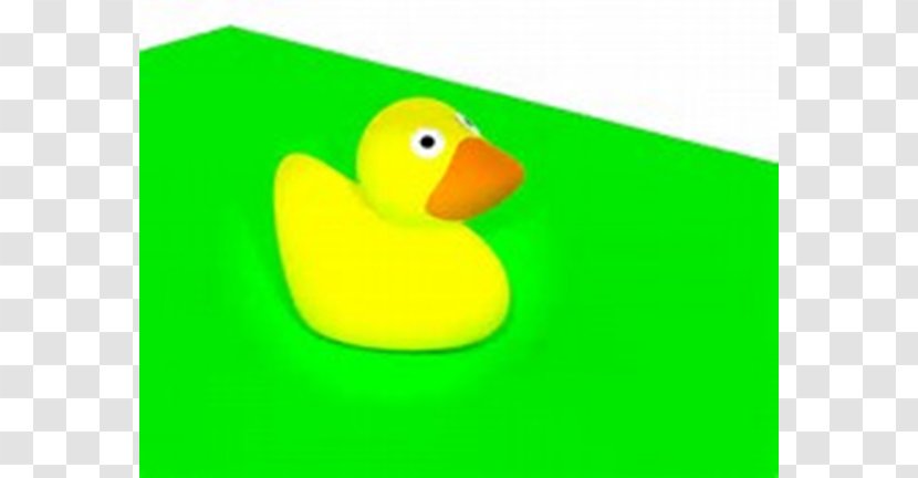 Duck Material - Waterfowl Transparent PNG