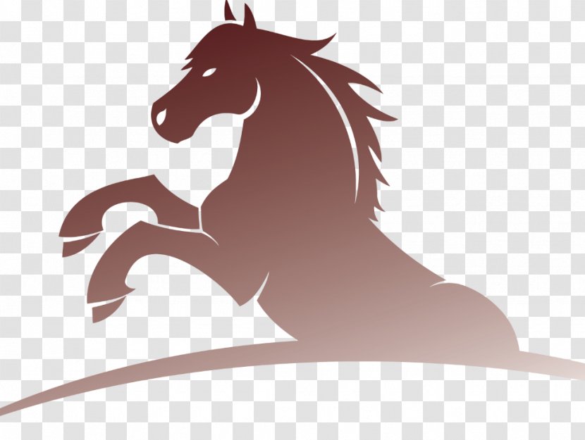 Horse Steiner Ranch Elementary School Pony Stallion Transparent PNG