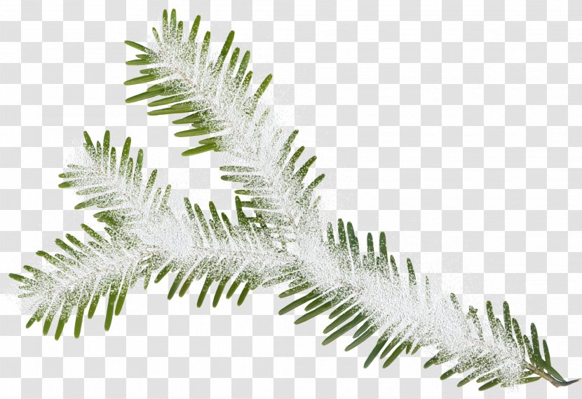 Christmas Tree Leaf Ornament - Winter Transparent PNG