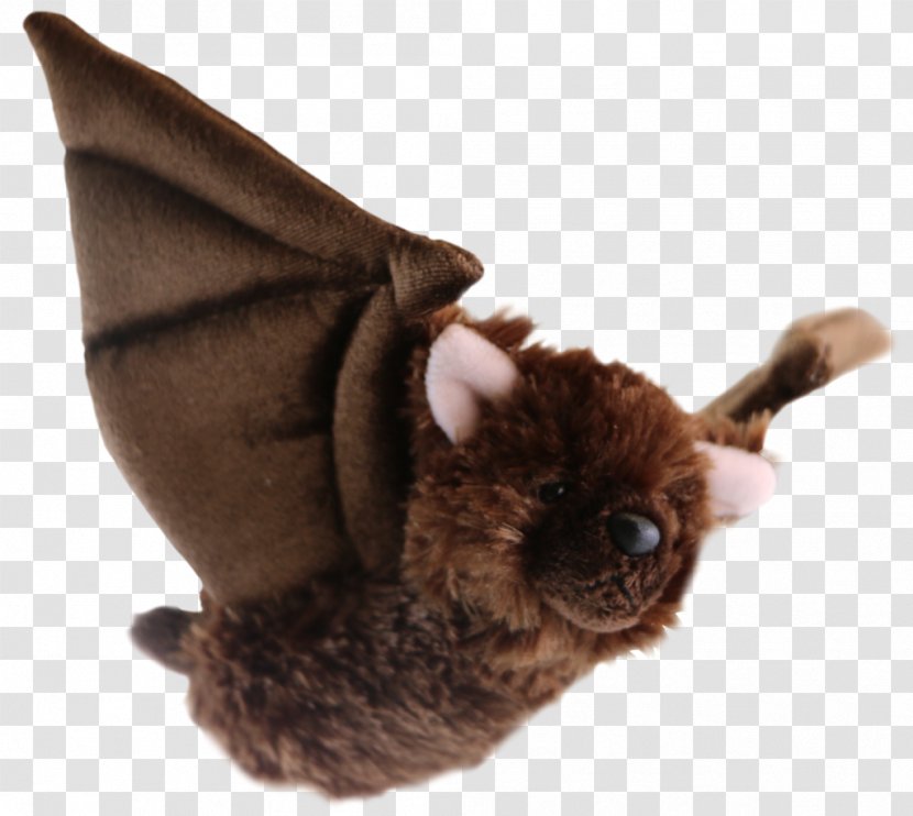 Little Brown Bat Big Canadian Wildlife Federation White-nose Syndrome - Plush Transparent PNG