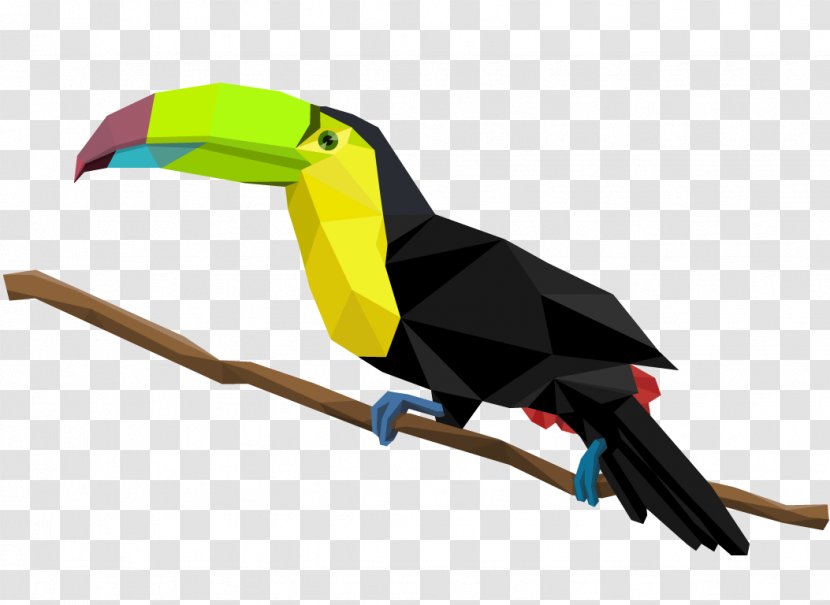 Bird Toco Toucan Piciformes - User Interface Design Transparent PNG