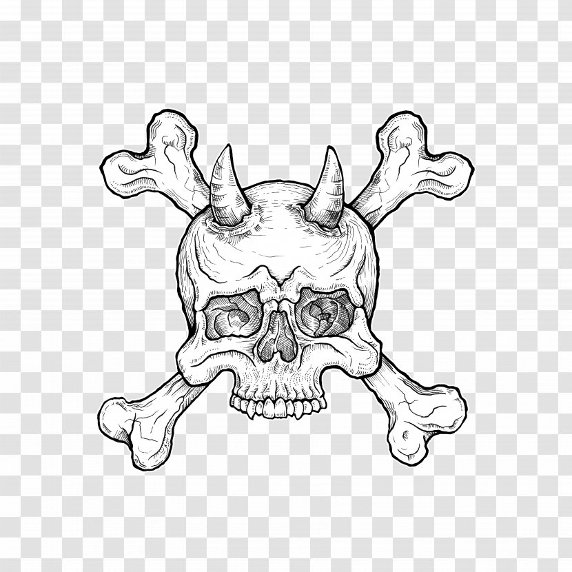 Sketch Illustration Line Art Skull Visual Arts - Jaw - Bootlegging Background Transparent PNG