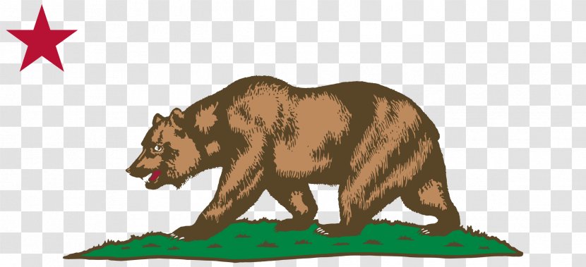 California State Legislature Republican Party Bill Legislator - Grizzly Bear Transparent PNG