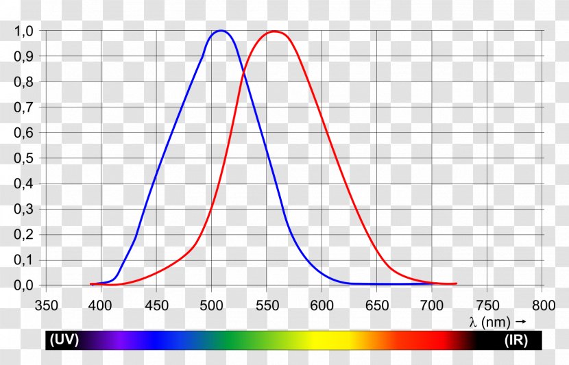 Light Photopic Vision Wavelength Luminosity Function Color - Eye - Curves Transparent PNG