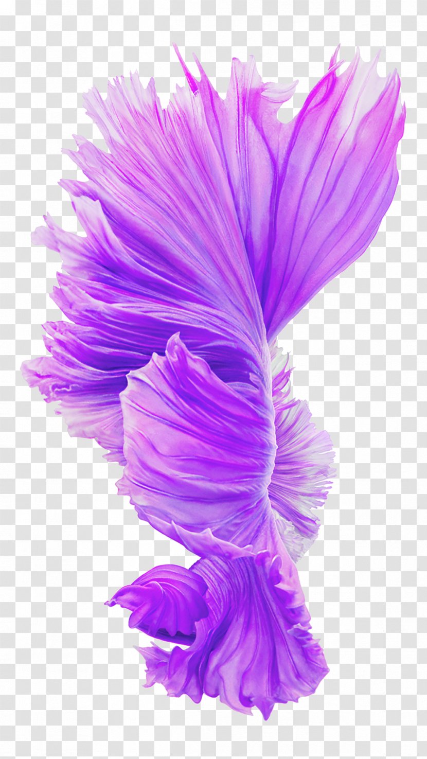 IPhone 6s Plus 6 4S IOS LTE - Mobile Device - Purple Flowers Blooming Transparent PNG