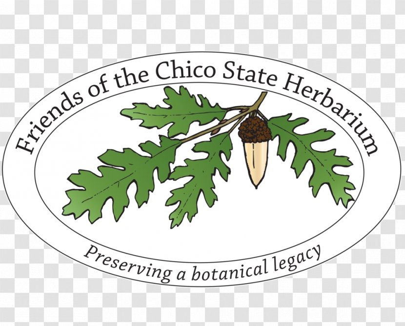 California State University, Chico Herbarium Aqua-Terra Landscapes Logo - University Transparent PNG