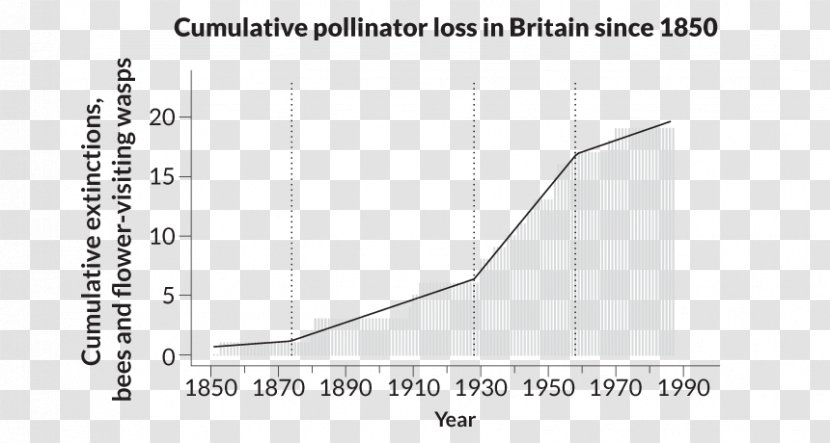 Bee Pollinator Decline Pollination Wasp - Honeybee Population Graph Transparent PNG