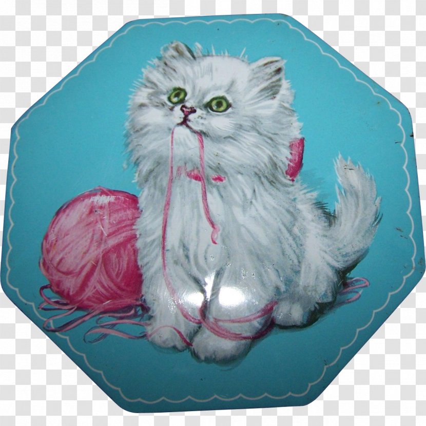 Whiskers Kitten Domestic Short-haired Cat Catti Sport Srl - Small To Medium Sized Cats Transparent PNG