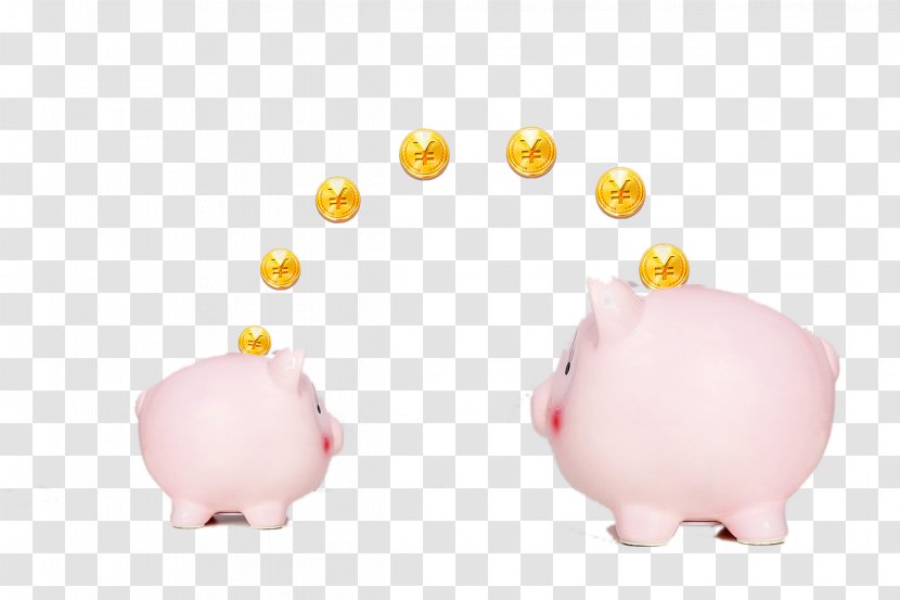 Domestic Pig Piggy Bank Pink - Snout Transparent PNG