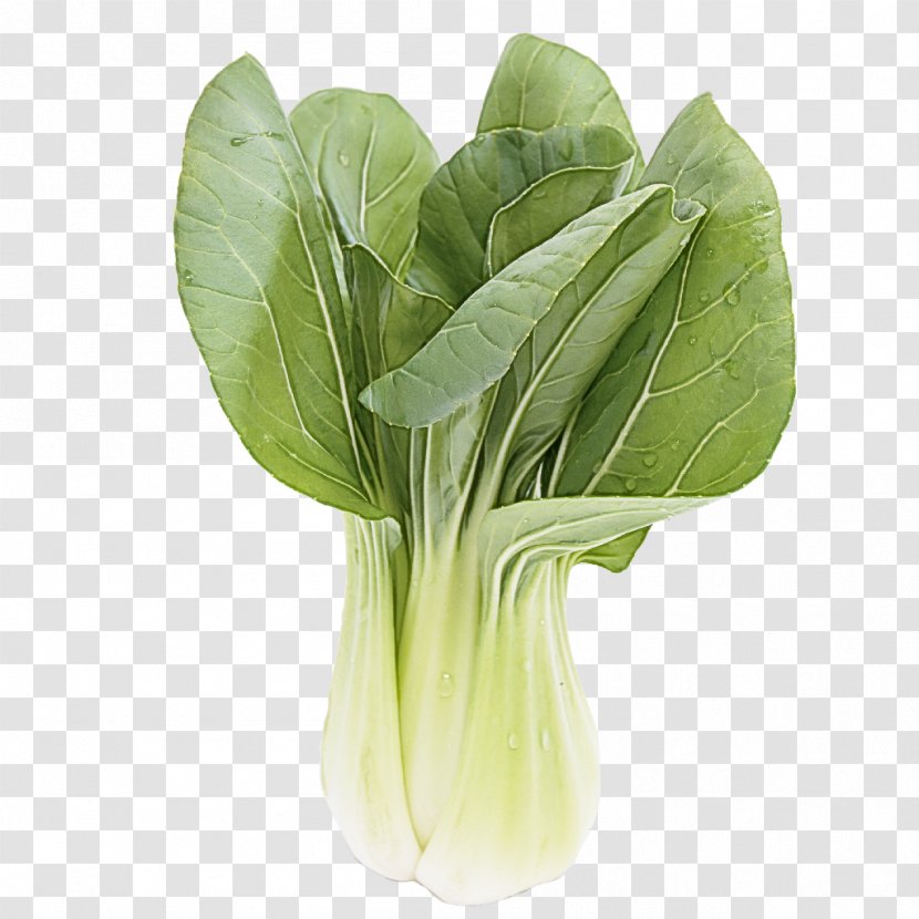 Vegetable Leaf Choy Sum Food - Wild Cabbage Spinach Transparent PNG