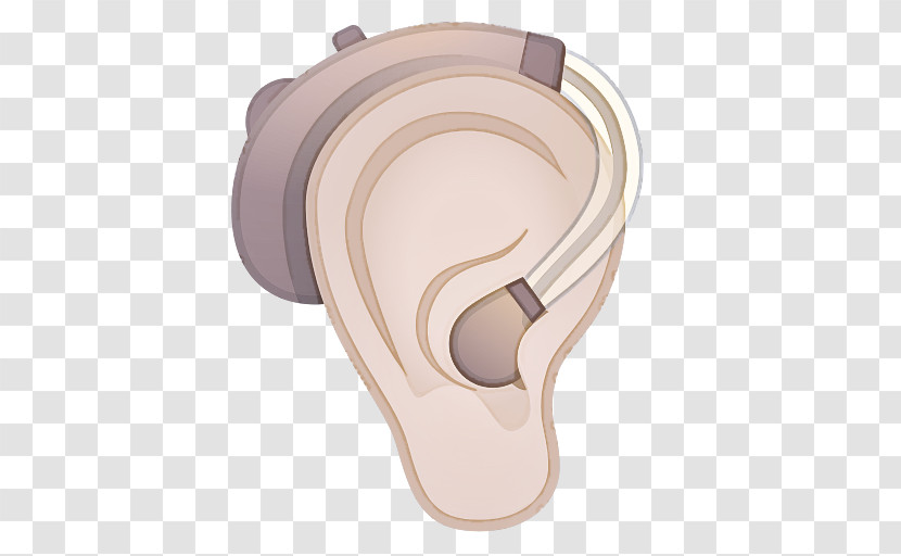 Hearing Science Physics Biology Nervous System Transparent PNG