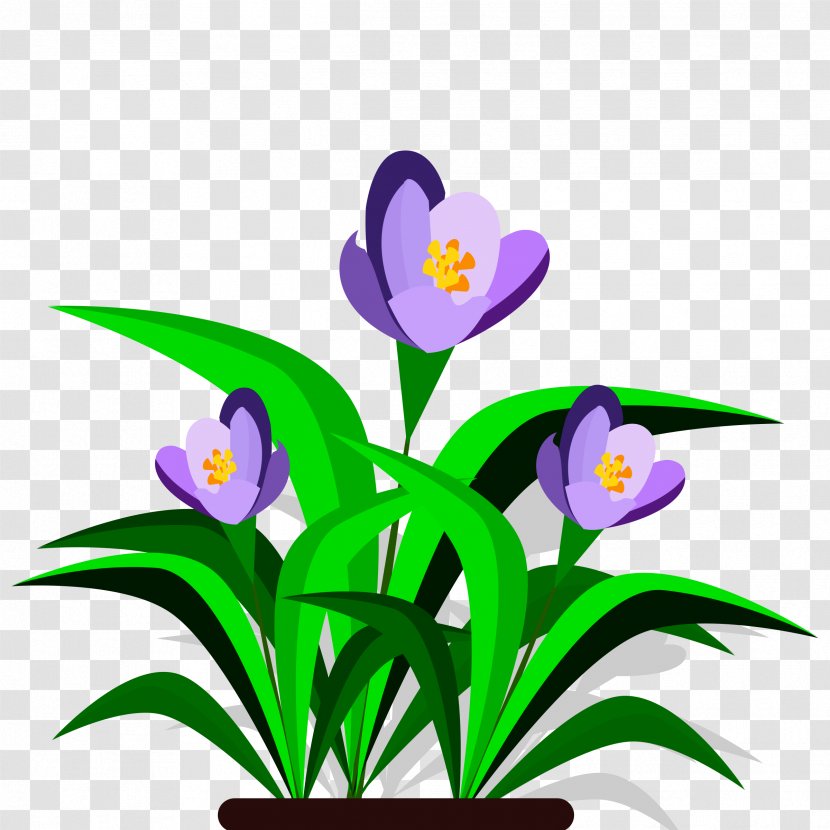 Cut Flowers Petal Plant Stem Clip Art - Flower - Plants Transparent PNG