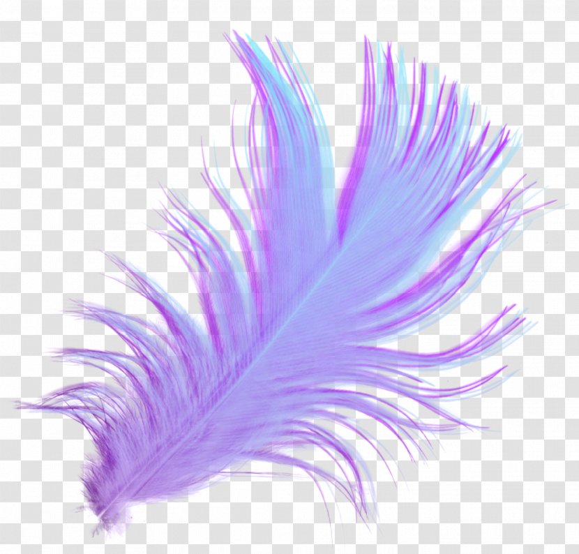 Feather Download Desktop Wallpaper Drawing - Peafowl - Painting Transparent Background Transparent PNG