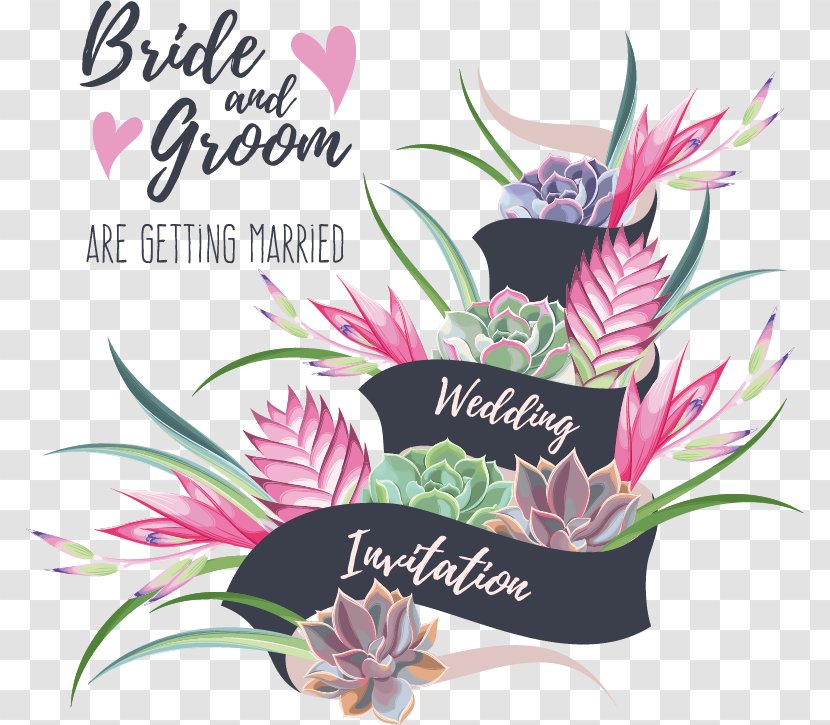 Vector Wedding Decorative Elements - Photography - Royalty Free Transparent PNG