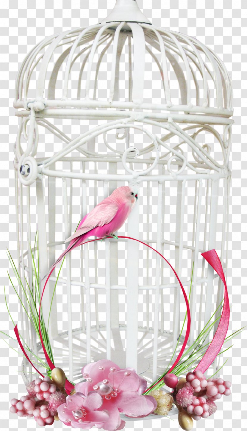 Bird Parrot Cage - Mesh Transparent PNG