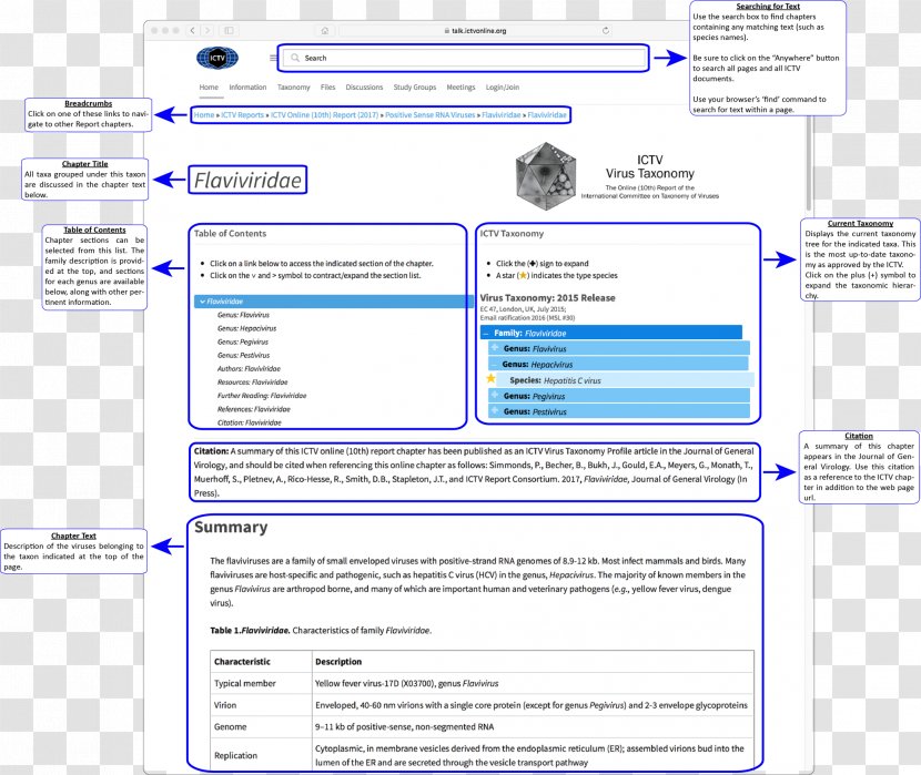 Web Page Computer Program Organization Screenshot - Brand Transparent PNG