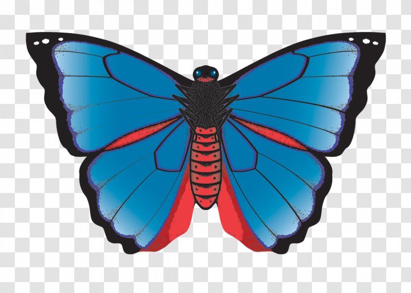 Monarch Butterfly Karner, New York Karner Blue Kite - Textile - Summer Shopping Season Discount Transparent PNG