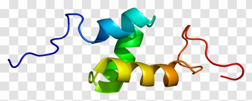 Gene Protein Human UBASH3A Ubiquitin Associated And SH3 Domain Containing, A - Chromosome Transparent PNG