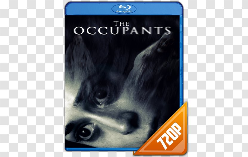 Snout Blu-ray Disc Font - Uz Transparent PNG