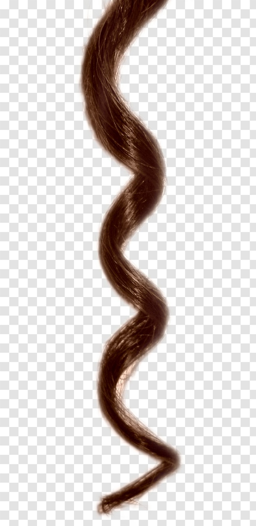 Hair Clip Art - Neck - Curls Transparent PNG
