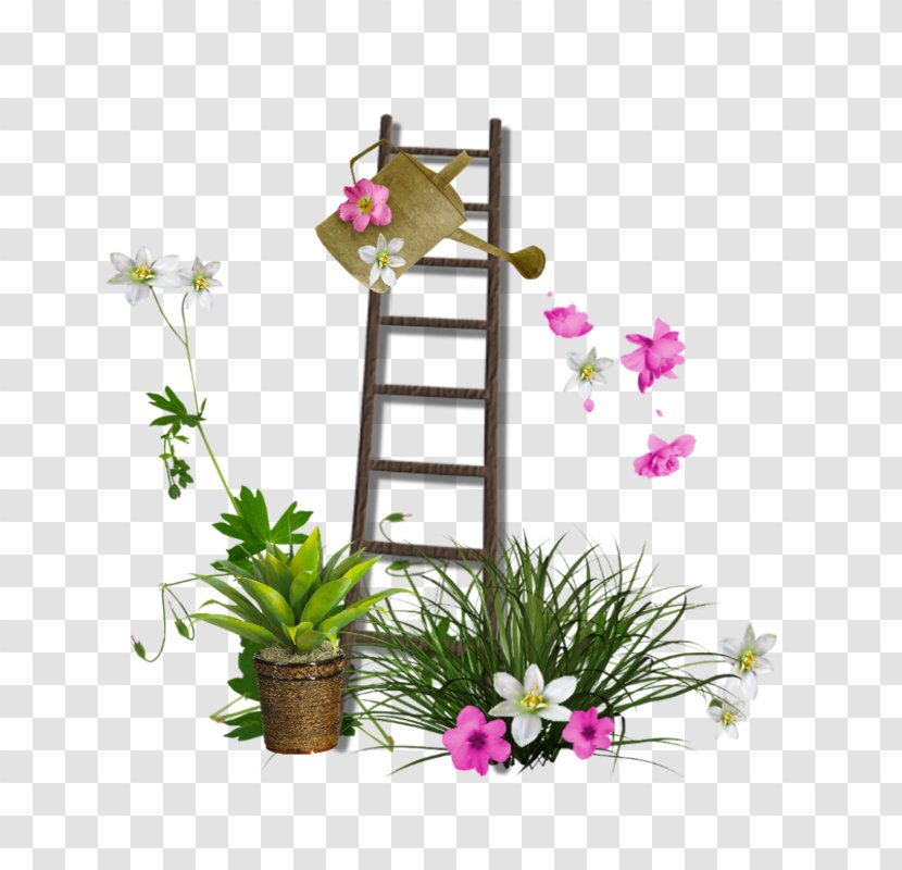 Watering Cans Gardening Flowerpot Ceramic - Ladder - Stairs Transparent PNG