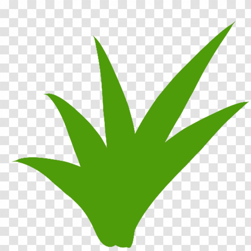 Leaf Clip Art Plant Stem Line Tree Transparent PNG