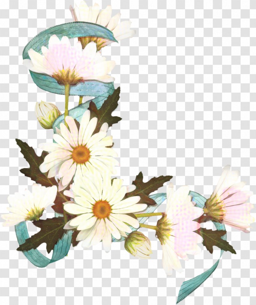 Drawing Of Family - Petal - Aster Oxeye Daisy Transparent PNG