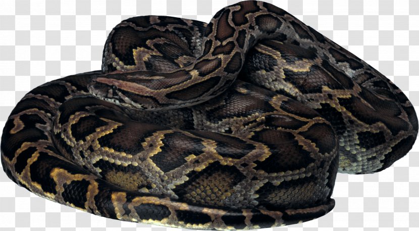 Snake Lizard Reptile Clip Art - Rattlesnake Transparent PNG