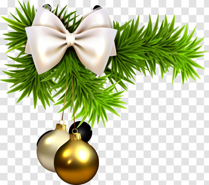 Christmas Green Grass - Conifer - Pine Family Transparent PNG