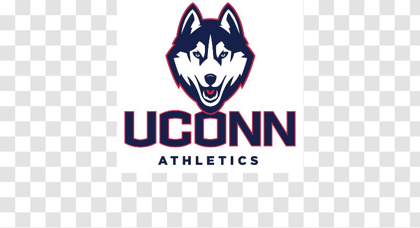 University Of Connecticut Huskies Men's Basketball Women's Football Jonathan The Husky - Men S Transparent PNG