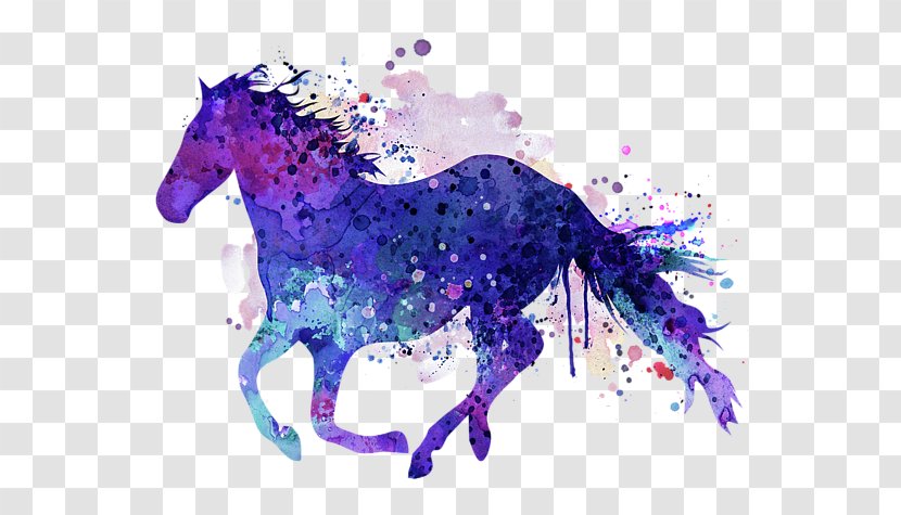 Pony Horse Watercolor Painting - Art Transparent PNG