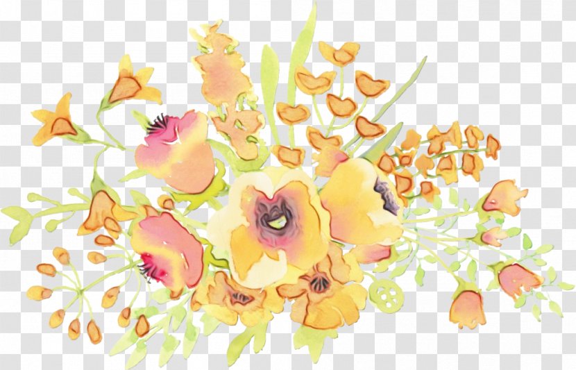 Watercolor Floral Background - Wet Ink - Wildflower Petal Transparent PNG