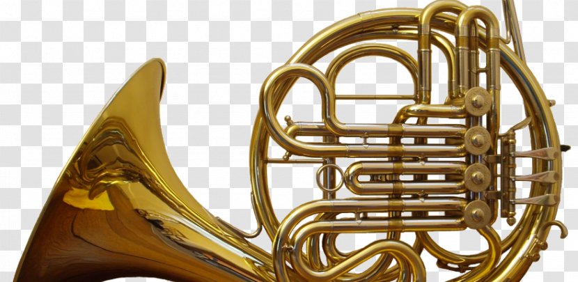 French Horns Musical Instruments Brass Natural Horn - Tree Transparent PNG