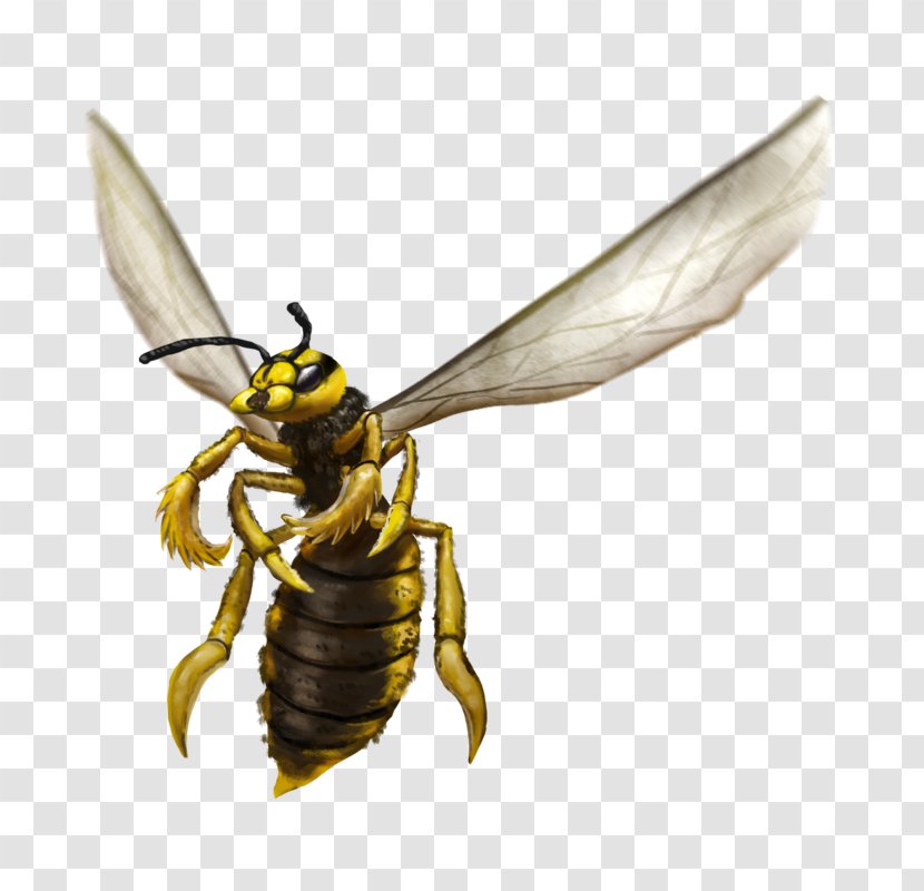 Honey Bee Wasp Amihan Dungeons & Dragons - Arthropod Transparent PNG