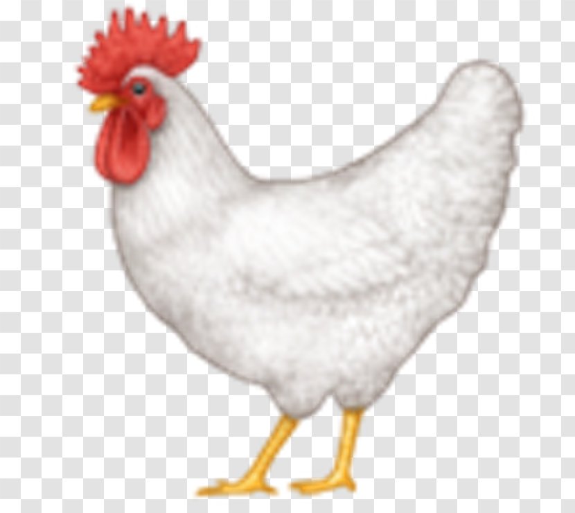 Apple Color Emoji Chicken The Odd Fellows Society Transparent PNG