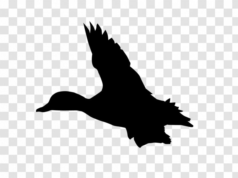 Duck Goose Clip Art Black & White - M Fauna Transparent PNG