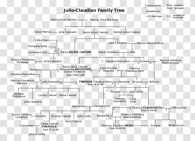 Roman Empire Julio-Claudian Dynasty Family Tree Emperor - British Royal Transparent PNG