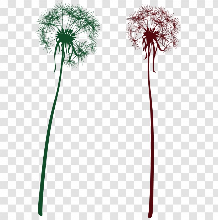 Dandelion - Flower - 2 Transparent PNG