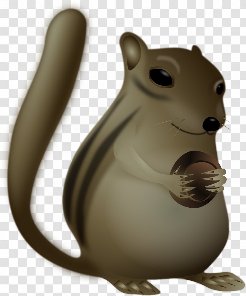 Squirrel Chipmunk Clip Art - Muroidea Transparent PNG