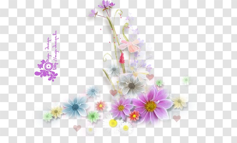 Flower Animation Common Daisy - Photography Transparent PNG