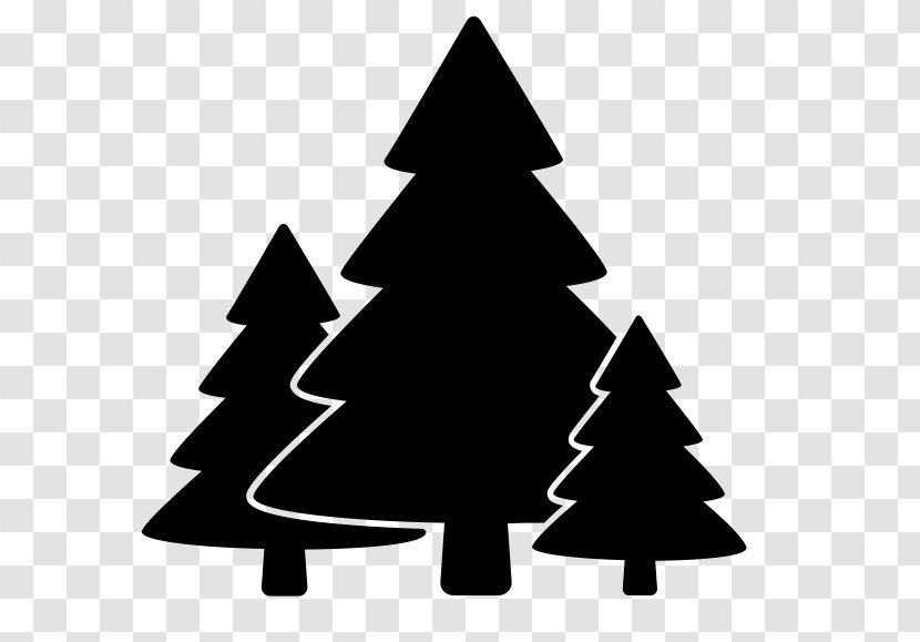 Forest Tree Symbol - Conifer Transparent PNG