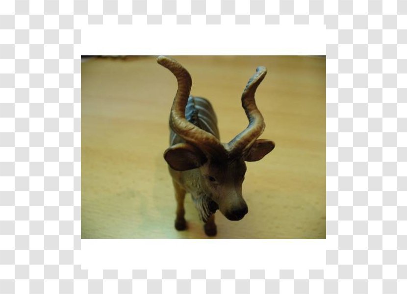 Reindeer Cattle Antelope Wildlife Terrestrial Animal Transparent PNG