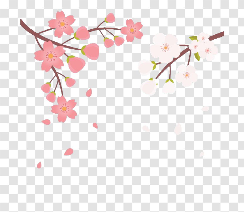 Sakura Sushi & Hibachi Cherry Blossom Color - Hand-painted In Two Colors Transparent PNG
