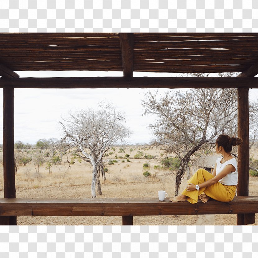 Window Picture Frames Garden Furniture Rectangle - Wood - African Models Transparent PNG