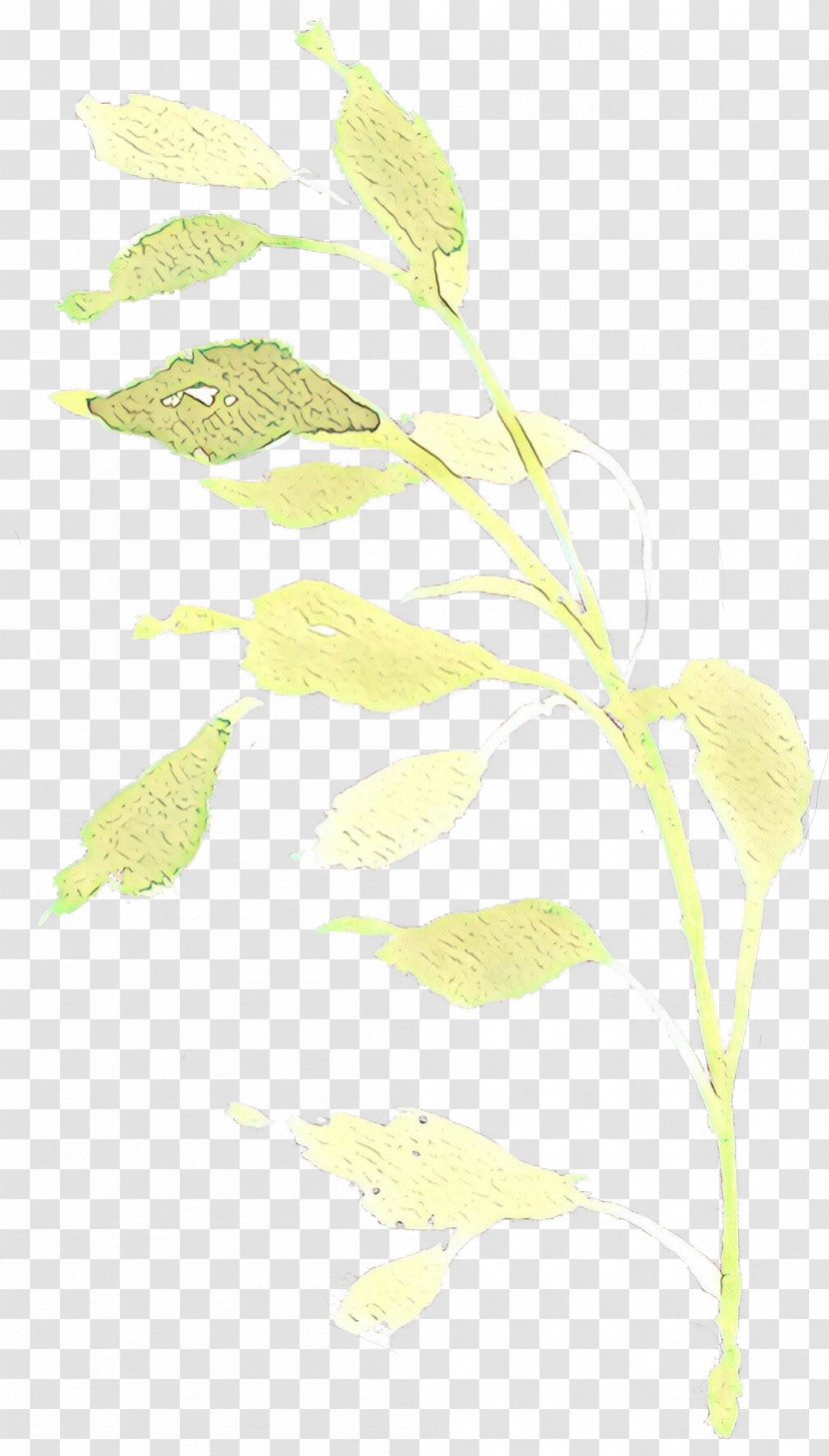 Leaf Plant Pedicel Flower Plant Stem Transparent PNG