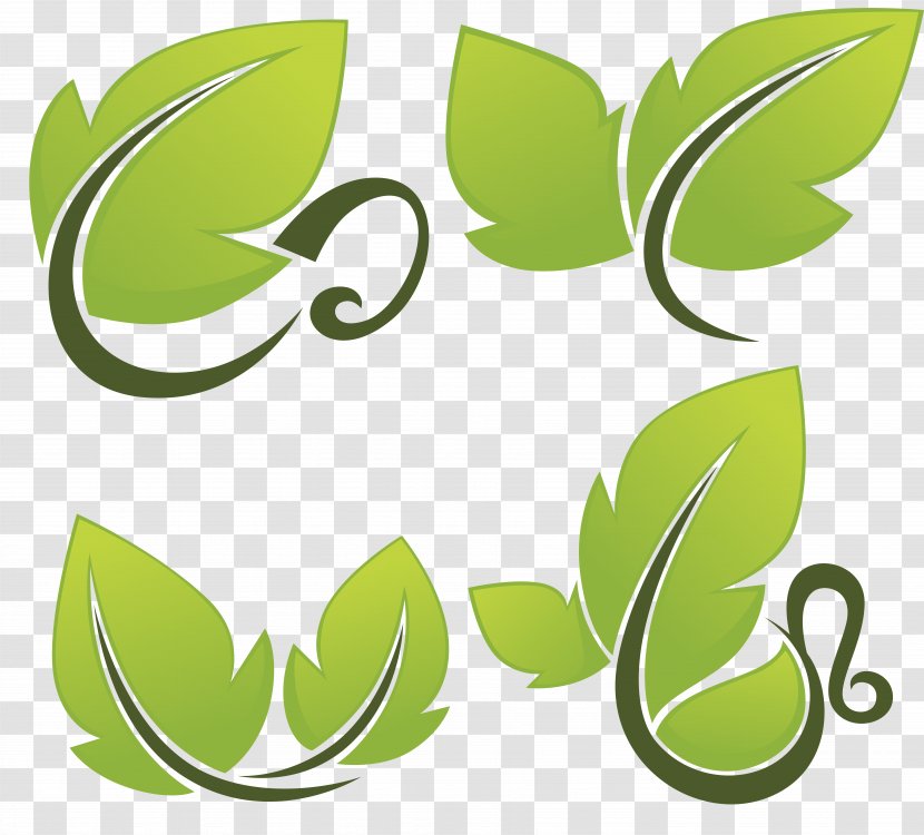 Clip Art - Digital Image - Leaves Vector Transparent PNG